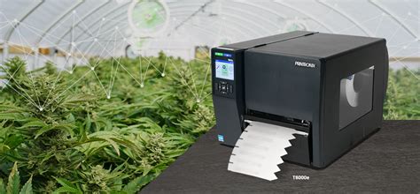 How the Cannabis Industry Uses RFID 